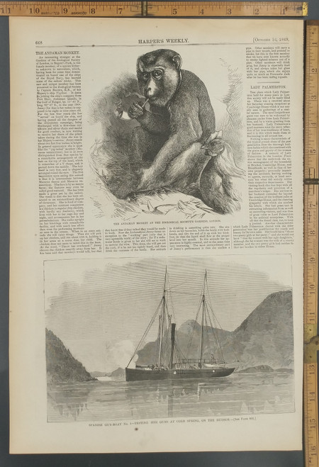 The Andaman Monkey at the Zoological Society's Gardens London. Monkey smoking a pipe. Spanish gunboat number one testing her guns at cold spring on the Hudson. Original Antique Print from 1869.