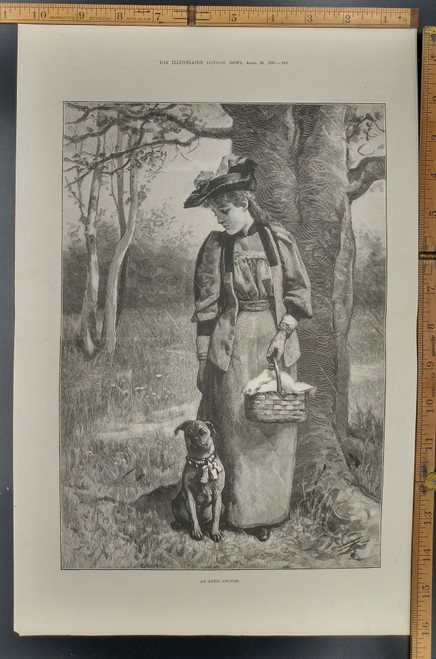 An April shower by R Taylor. A woman in the Woods with her dog in the rain. Original Antique Print from 1895.