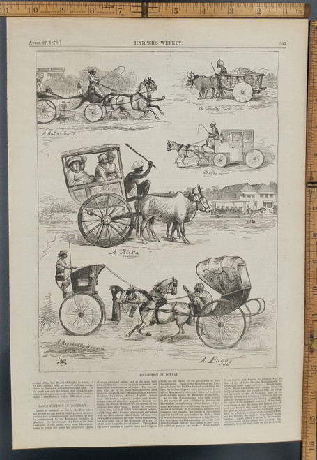 Locomotion in Bombay India: a buggy, merchant's Hansom, Reekla, Shigram, a native Swell and a country cart. Horses and cattle at work. Original Antique Print 1878.