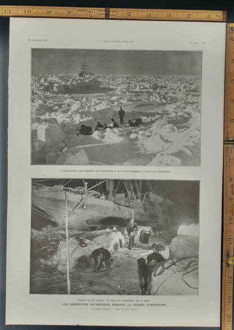 The Shackleton Antarctic expedition during the European war. During the polar night: the kennel and dogs, on the ice. Original Antique Print 1917.