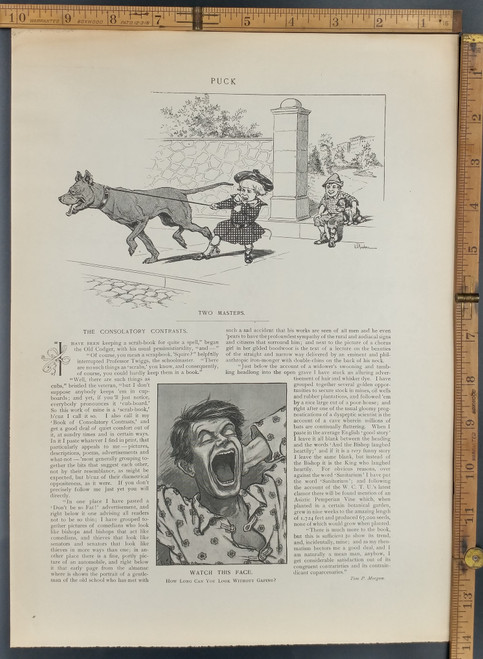 A little girl being pulled by a large dog. A man yawning. Original Antique Print 1906.