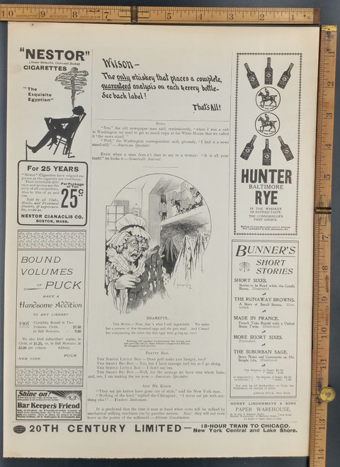 Ads  for Hunter Baltimore Rye, Wilson Whiskey and Nestor Cigarettes. Moths destroying a womans clothes. Original Antique Print 1906.