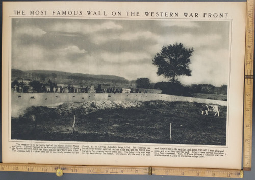 The most famous wall on the western war front, cemetery on the battle field of the Marne between Maux and Juilly. A cow grazing. Original Antique WWI Rotogravure-Sepia Tone Print, photo 1916.