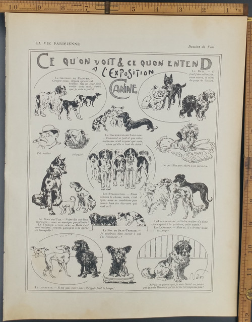 What we see & what we hear at the dog show. Dogs: Terrier, Saint Bernard, staghounds, dachshund, Bichon and bull dog. Original Antique French print from 1909.