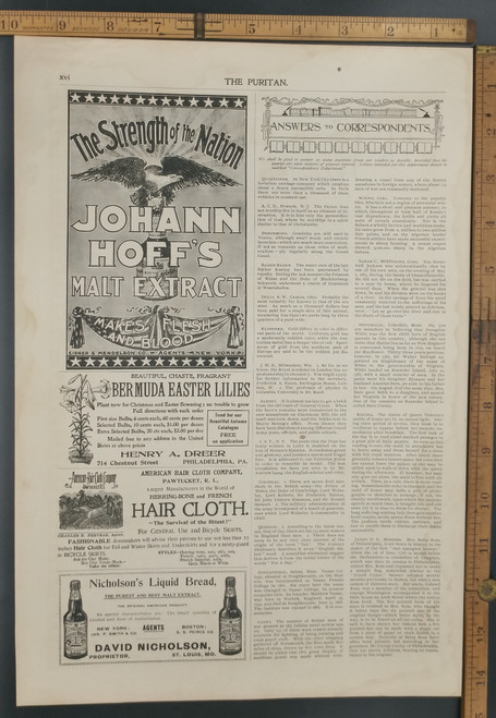 The strength of the nation, Johann Hoff's Malt Extract. Bermuda Easter Lilies. American Hair Cloth company. Nicholson's Liquid Bread. Original Antique Puritan print from 1897.