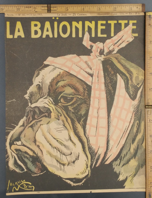 LES HÉROS À 4 PATTES by Jacques Nam. Four legged hero, a wounded bulldog. Original WWI Antique print from 1917. 