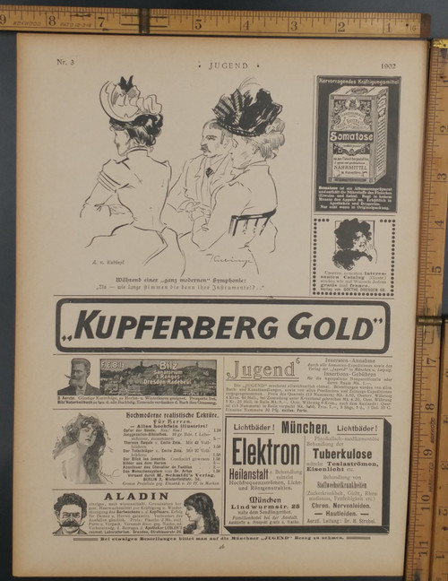 During a very modern symphony by artist A. V. Kubinyl. Variety of old German advertisements: Aladin, fur Kerren, Somatose and Munchen Lindwurmstr. Original Antique German Jugandstil print from 1902.