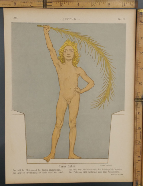 Neues Leben by Fidus AKA Hugo Reinhold Karl Johann Höppener. A full page image of a naked boy, new life. Original Antique German Jugendstil print from 1902.