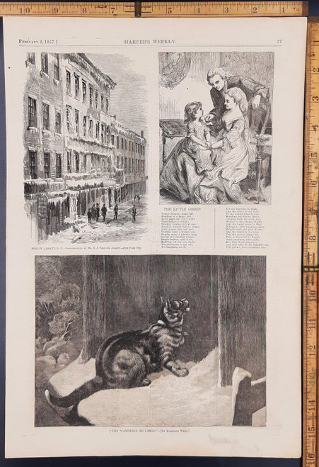 The wanderer returned by Harrison Weir, a cat out in the snow. Fire in Albany N.Y. the little gossip, a poem. Original Antique engraving, print from 1867.