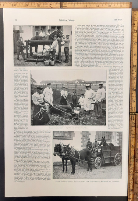 Germans operating on wounded war horses. Mules pulling a horse in a wagon. Original Antique German World War One era print with photos from 1915. WW1 WWI