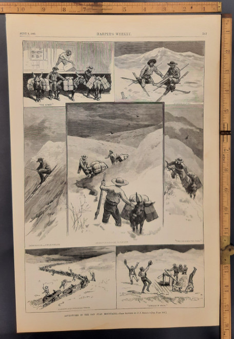 Adventures in the San Juan Mountains, from sketches by JJ Reilly. A lumber and provision train. Striking it rich. Tailing down the trail, holding on to the tail of a mule. Staking claims. Original Antique engraving from Harper's Weekly 1883.