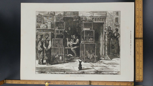 The Morning Toilet, Seven Dials 1874. Children Admiring an Antique Pet Store, Large Antique Engraving, Approximately 11x15.