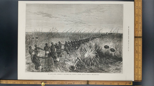 Sir Samuel Bakers Expedition up the White Nile: Hauling a Steamer Through Cuttings in the River 1874. Large Antique Engraving.