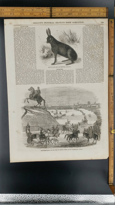 Representation of the Fete of Easter Week, in St. Petersburg, Russia 1853. Black Hare Shot in Suffolk, England. Large Antique Engraving.