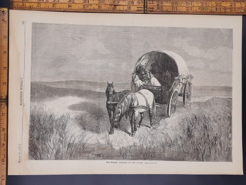 The Whiskey peddler on the plains. An older man in a covered wagon being pulled by horses. Original antique print 1870 Aprox 11x16