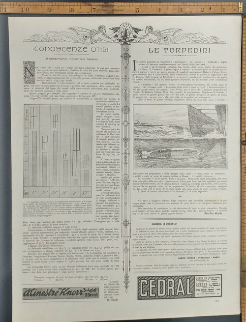WWI torpedo. Ship protection. Original Antique Print 1915