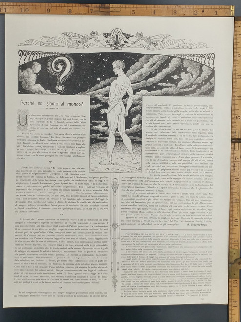 Dalsani art, because we are in the world. Nude man on top of the world and outer space. Original Antique Print 1915