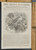 Podargus Papuensis. The goatsucker. Woodcut engraving. Original Antique magazine print from 1837.