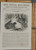 Anecdotes of Black and Grey Squirrels, and their comparative instinct illustrated. Woodcut engraving. Original Antique magazine print from 1837.