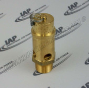 SV-1000-175 Safety Valve- 1" - 175 Psi