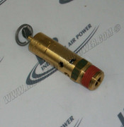 SV-500-200 Safety Valve, 1/2 Inch, 200#