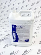 127462-001 1 Gl Quinsyn Fluid