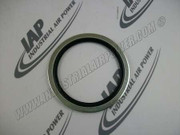 0661-1000-33 Gasket
