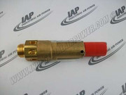 0830-1008-28 Safety Valve