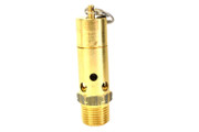 0830-1008-35 Safety Valve