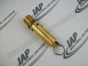0830-1008-36 Safety Valve