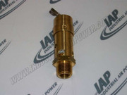 0830-1008-39 Safety Valve