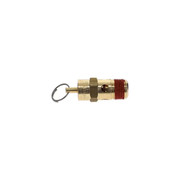 0830-1009-67 Safety Valve