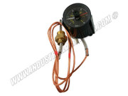1089-0376-11 Temperature Switch