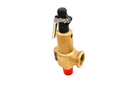 1613-7810-00 Safety Valve