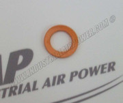 1625-3902-10 Washer Plain