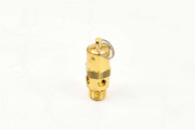 2023-9181-08 Valve Relief, 025P, 100Psi,