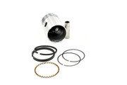 2024-4065-51 Ay, Piston, Hp, Standard, Singact