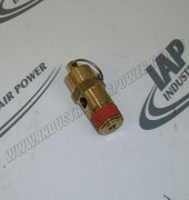 2200-9507-76 Safety Valve.1/4 NPT 1