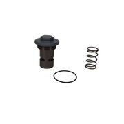 2901-1455-00 Thermostat Kit
