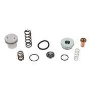 2901-1872-00 Therm Valve Tr/Min P