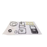 2902-0415-01 Gvs40-60 Vanes+Seals Kit