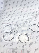 3001-1702-20 Tip Seal Set Atsl165C