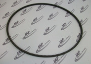 6214-6231-00 Belt