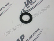 02W929-06 Gasket Per B/P