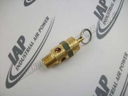 M2843 1/4 I Safety Valve