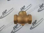P07460A Check Valve
