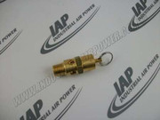 P09704A Safety Valve