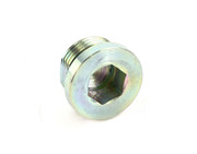 100014624 Screw Plug Bleeding