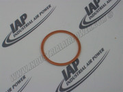 A93189220 Sealing Ring A 48 X
