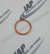 A93189600 Seal Ring 33 X39